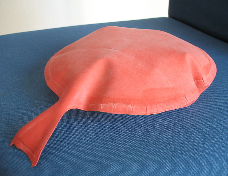 773px Whoopee cushion