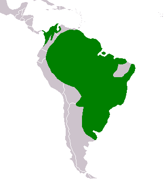 Capybara range