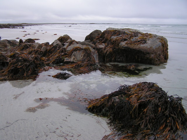 Rockpool geograph.org.uk 608824