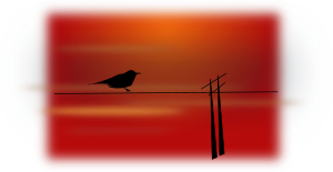 bird on wire 300px