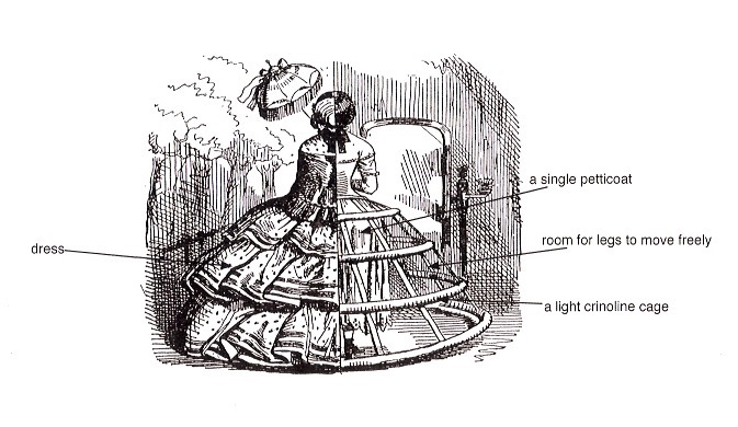 diagram of crinoline