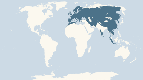 european otter map