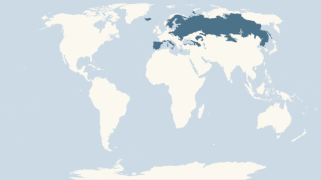 vipera berus map